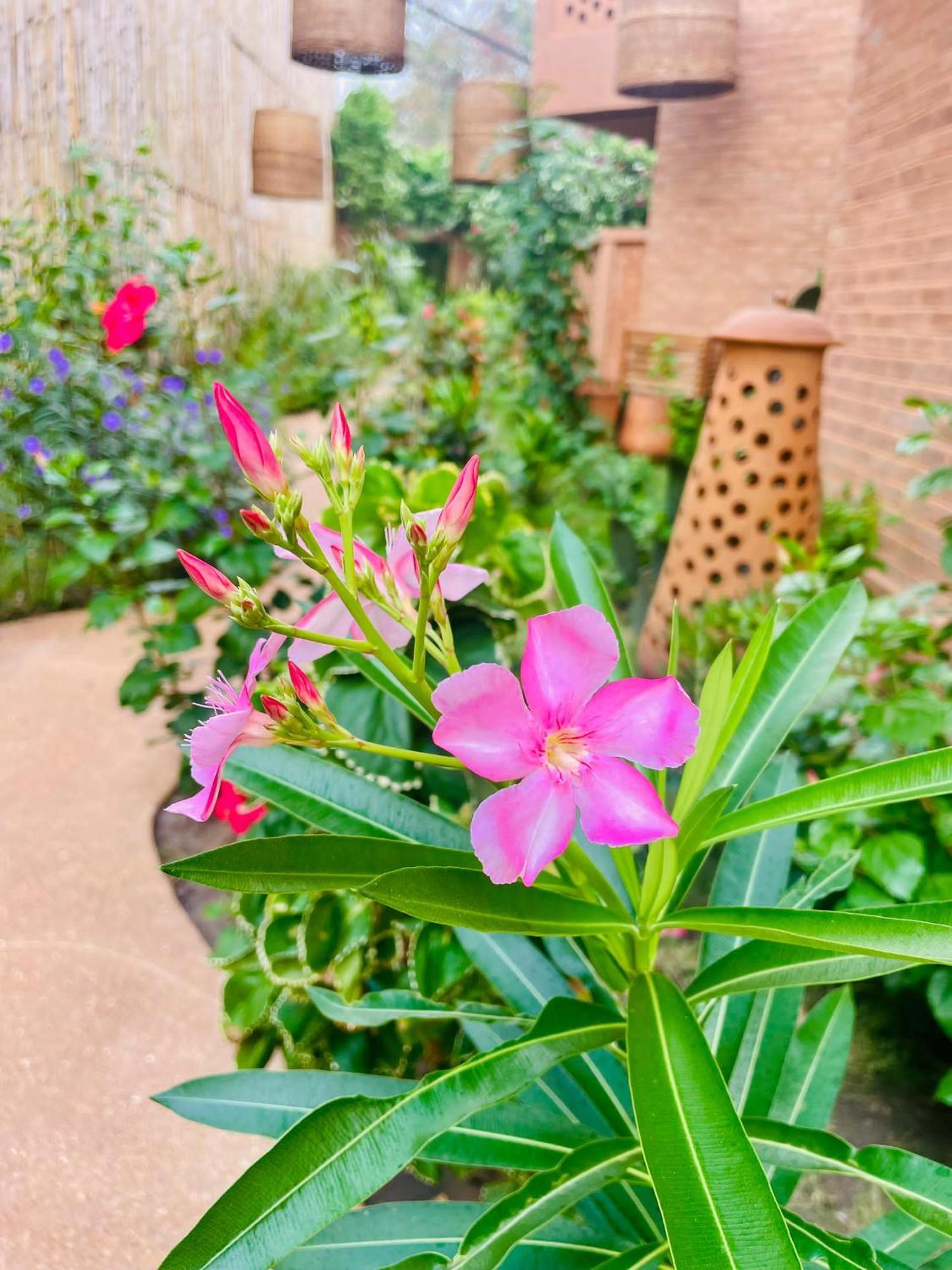 ホテル Le Patio ロメ エクステリア 写真