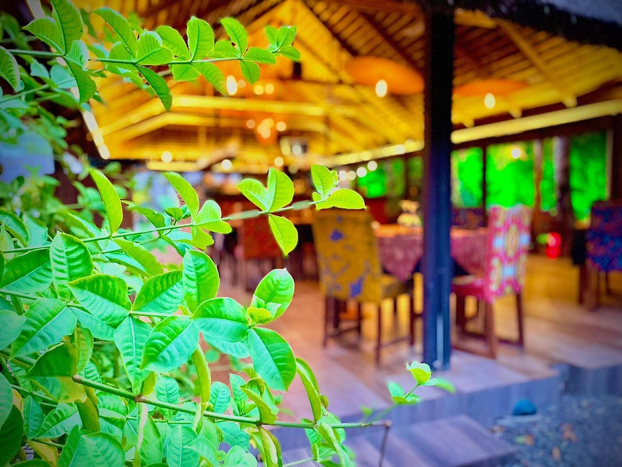 ホテル Le Patio ロメ エクステリア 写真